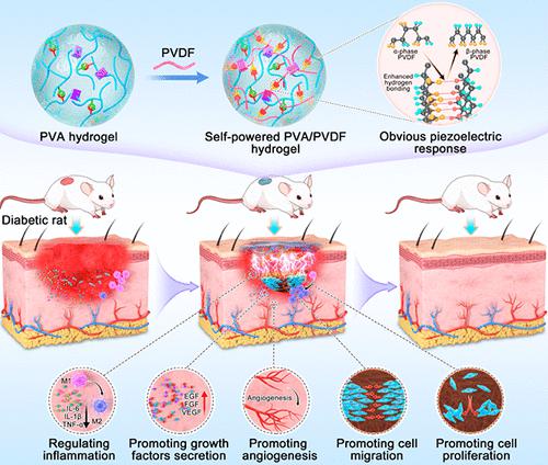 A Biocompatible Self-Powered Piezoelectric Poly(vinyl Alcohol)-Based ...