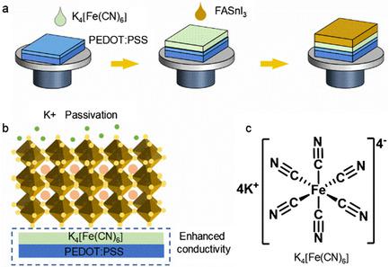 Prospects for low-toxicity lead-free perovskite solar cells