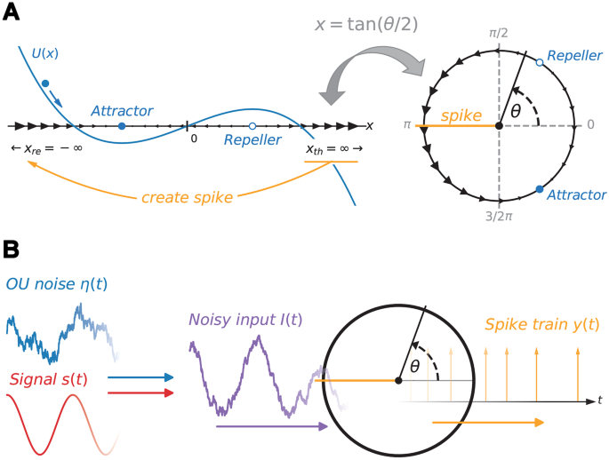 The Steady State And Response To A Periodic Stimulation Of The Firing