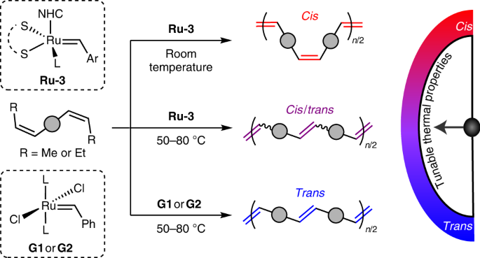 Stereocontrolled Acyclic Diene Metathesis Polymerization,Nature ...