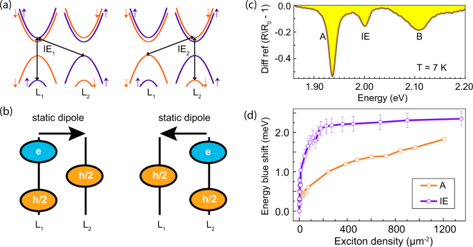 Highly Nonlinear Dipolar Exciton-polaritons In Bilayer MoS2,Nature ...