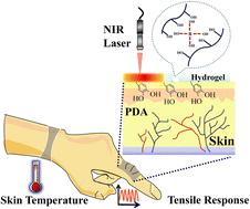 Wearable, Fast-healing, And Self-adhesive Multifunctional Photoactive ...