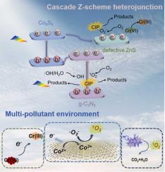 ZnO/C-mediated k-carrageenan based pseudo-pasteurization films for