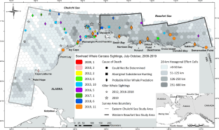 Bowhead whale (Balaena mysticetus) carcasses documented during the 2019 ...