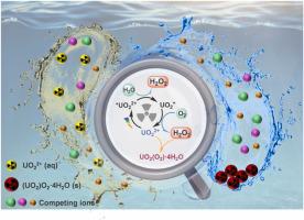 环境条件下光化学触发从水溶液中自提铀,Applied Catalysis B: Environment And Energy - X-MOL