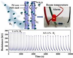 Surface-broken Palladium And Palladium Oxide Core/shell Nanowires For ...