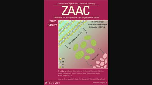 Cover Feature: Influence Of The Cation On The Reaction Mechanism Of ...