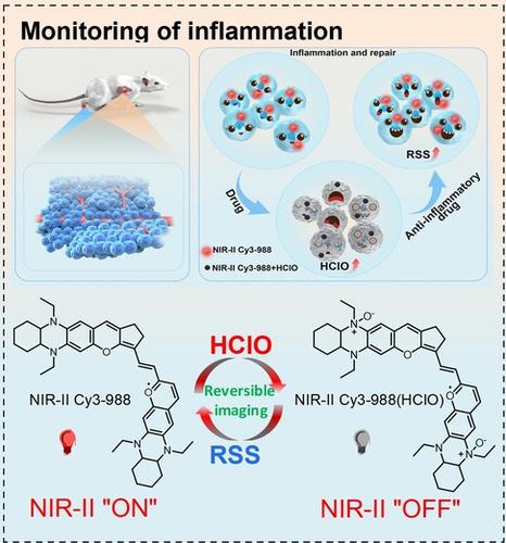 Engineering Of Reversible Nir Ii Redox Responsive Fluorescent Probes