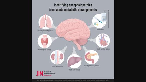 Identifying encephalopathies from acute metabolic derangements - Wijdicks -  2022 - Journal of Internal Medicine - Wiley Online Library