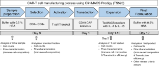 Decentralized manufacturing of anti CD19 CAR-T cells using CliniMACS ...