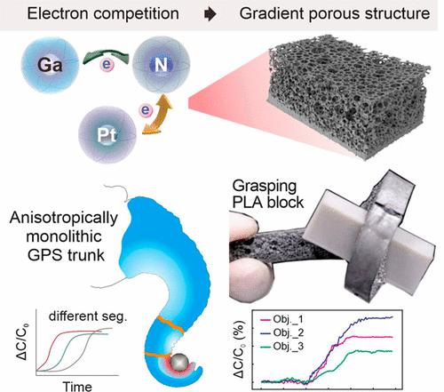 Partial Liquid Alloy Microdroplet Sedimentation Induced a Gradient