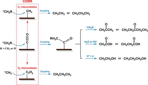 Intercepting Elusive Intermediates In Cu-Mediated CO Electrochemical ...