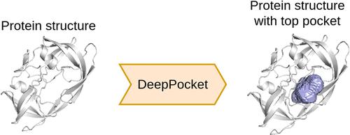 DeepPocket: Ligand Binding Site Detection and Segmentation using 3D  Convolutional Neural Networks,Journal of Chemical Information and Modeling  - X-MOL