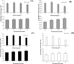 Morphophysiological responses of sweet basil Ocimum basilicum L