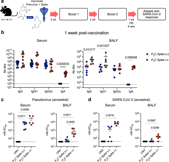 Mucosal TLR2-activating Protein-based Vaccination Induces Potent ...