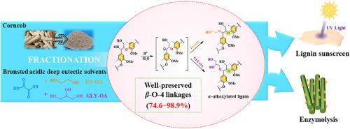 Mild Pretreatment With Brønsted Acidic Deep Eutectic Solvents For ...