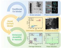 Achieving Exceptional Wear Resistance In Cemented Carbides Using B2 ...