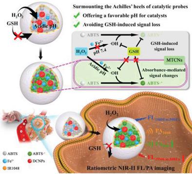 Spectroscopic and in vitro Investigations of Fe2+/α‐Ketoglutarate‐Dependent  Enzymes Involved in Nucleic Acid Repair and Modification - Schmidl - 2022 -  ChemBioChem - Wiley Online Library