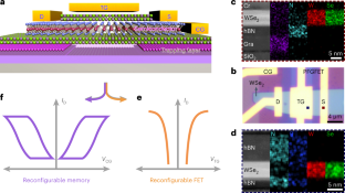 Reconfigurable Logic-in-memory Architectures Based On A Two-dimensional ...