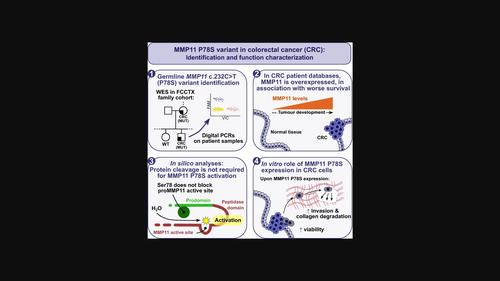 Germline Gain Of Function Mmp Variant Results In An Aggressive Form Of Colorectal Cancer