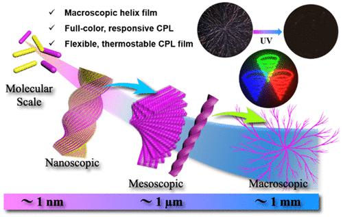 Full-Color And Switchable Circularly Polarized Light From A Macroscopic ...