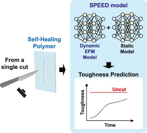 Dynamic Modeling Of Intrinsic Self-Healing Polymers Using Deep Learning ...