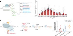 Optimized Prime Editing In Monocot Plants Using PlantPegDesigner And ...