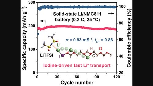 Electronegativity-Induced Single-Ion Conducting Polymer Electrolyte For ...