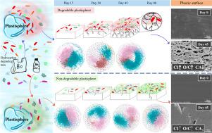 Spatio-temporal Succession Of Microbial Communities In Plastisphere And ...