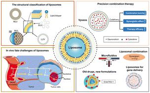 Pharmaceutical liposomal delivery specific considerations of