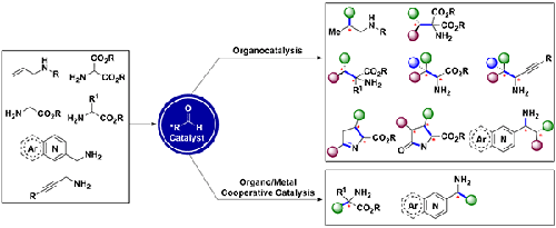 Recent Advances In Chiral Aldehyde Catalysis For Asymmetric ...