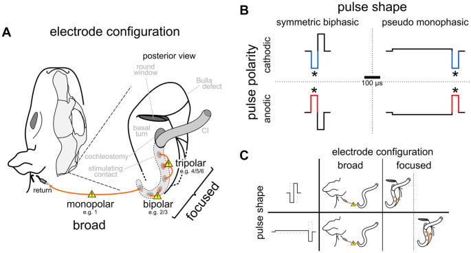 cdc-covid-arm-reaction-is-normal