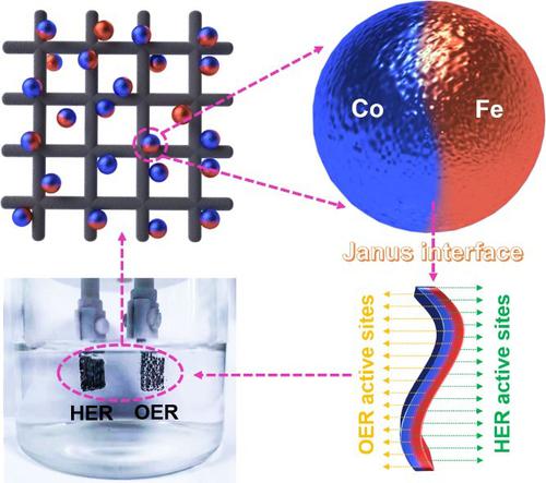 Janus Heterostructure Of Cobalt And Iron Oxide As Dual-functional ...