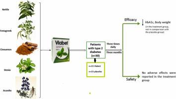Evaluation of a new herbal formulation (Viabet®) efficacy in