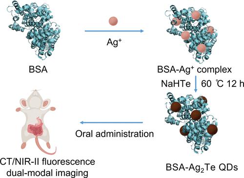 Bsa Ag Te Ct Nir Ii Acs Biomaterials