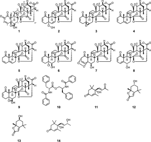 A New 1,2-diketone Physalin Isolated From Physalis Minima And TRAIL ...