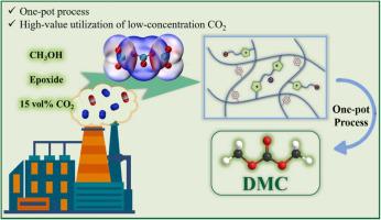 Porous Sulfonyl Binuclear Carbonate Poly(ionic Liquid)s For One-pot ...