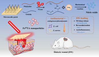 Biological Glue from Only Lipoic Acid for Scarless Wound Healing by  Anti-inflammation and TGF-β Regulation