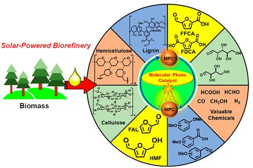 Progress And Outlook Of Solar-Powered Biomass For Biorefineries: A ...