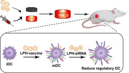 Blood Clot Scaffold Loaded With Liposome Vaccine And SiRNAs Targeting ...