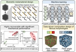 Data-driven Design Of Biometric Composite Metamaterials With Extremely ...