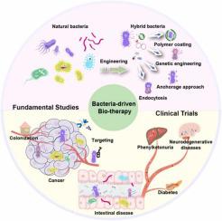 细菌驱动的生物疗法：从基础研究到临床试验,Nano Today - X-MOL
