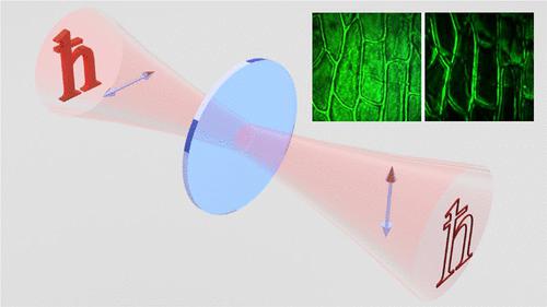 Effects of the direction of Kinesio taping on sensation and postural  control before and after muscle fatigue in healthy athletes