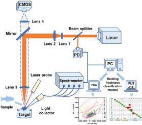 Identification of sea bass freshness grades using laser-induced ...