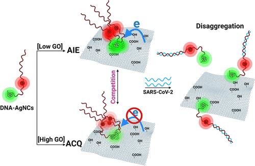 Role Of The Probe Sequence/Structure In Developing An Ultra-Efficient ...