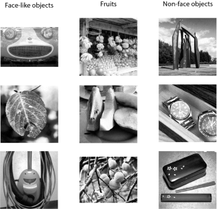 Do chimpanzees see a face on Mars? A search for face pareidolia in