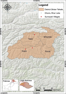 Assessing glacial lake outburst flood potential using geospatial ...