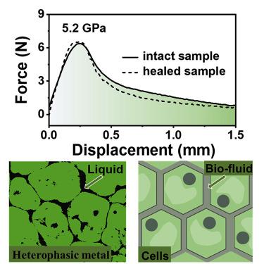 Biological Self-healing Strategies From Mechanically Robust ...