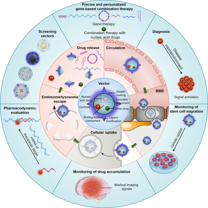 Nucleic Acid Drug Vectors For Diagnosis And Treatment Of Brain Diseases Signal Transduction And