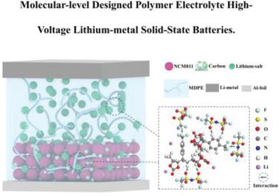 Molecular-level Designed Polymer Electrolyte For High-Voltage Lithium ...